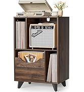 Amazon.co.jp: VINAEMO レコードラック、レコード棚、レコード